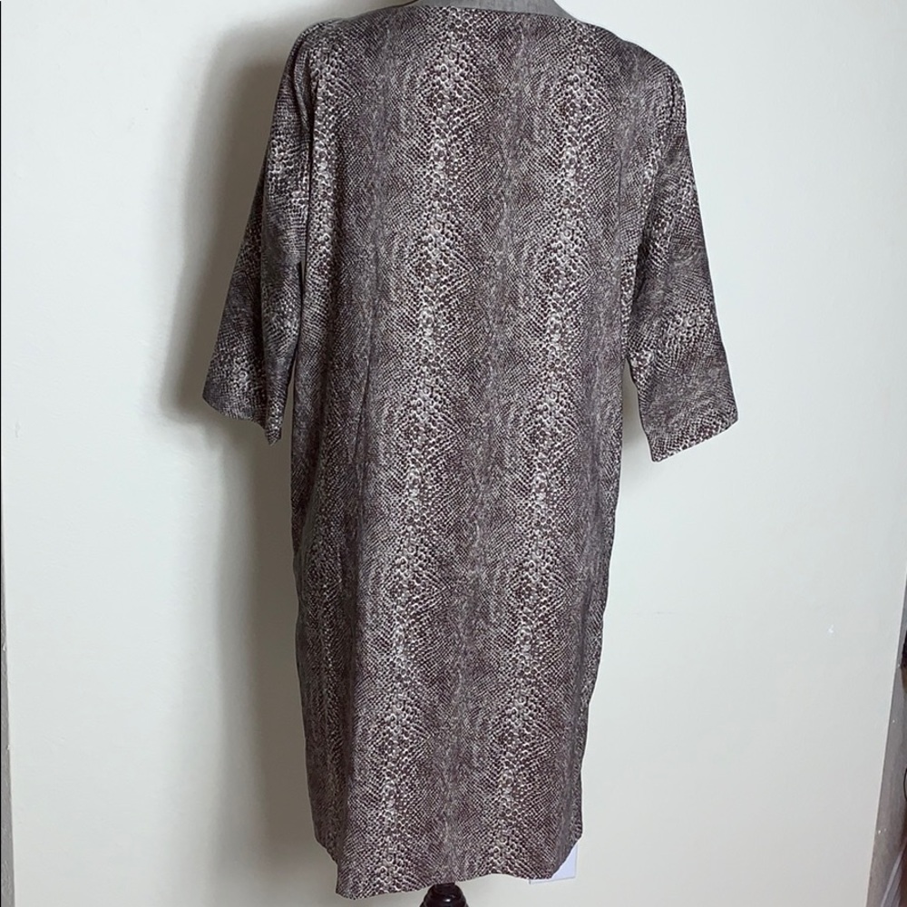 Zara Dress - Picture 8 of 12